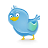 twitter icon